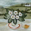 Primula and Red Plate 